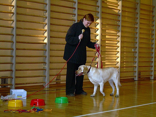 Szkolenie z zakresu dogoterapii, zdjęcie 6 z 32