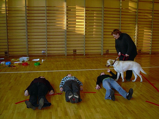 Szkolenie z zakresu dogoterapii, zdjęcie 11 z 32
