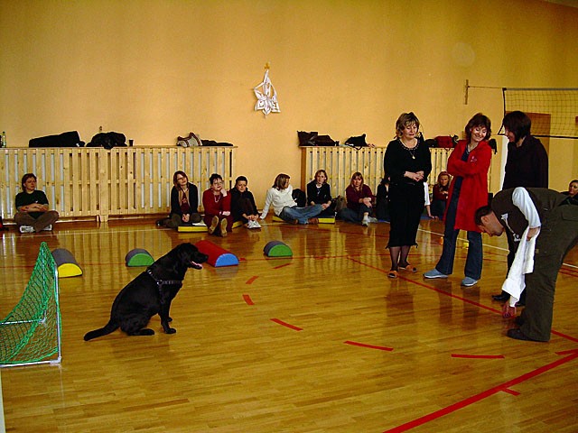 Szkolenie z zakresu dogoterapii, zdjęcie 24 z 32