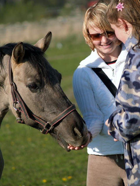 Turnus rehabilitacyjny w Sarbinowie, zdjęcie 42 z 75