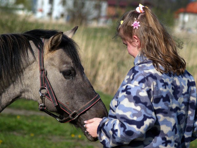 Turnus rehabilitacyjny w Sarbinowie, zdjęcie 43 z 75