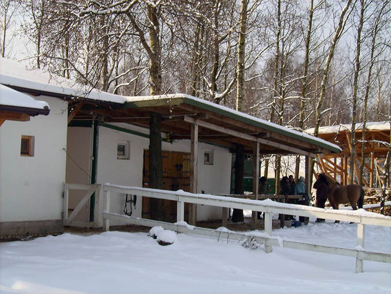 Gliwice 16.02-20.02 2009 r. WARSZTATY I, zdjęcie 22 z 30