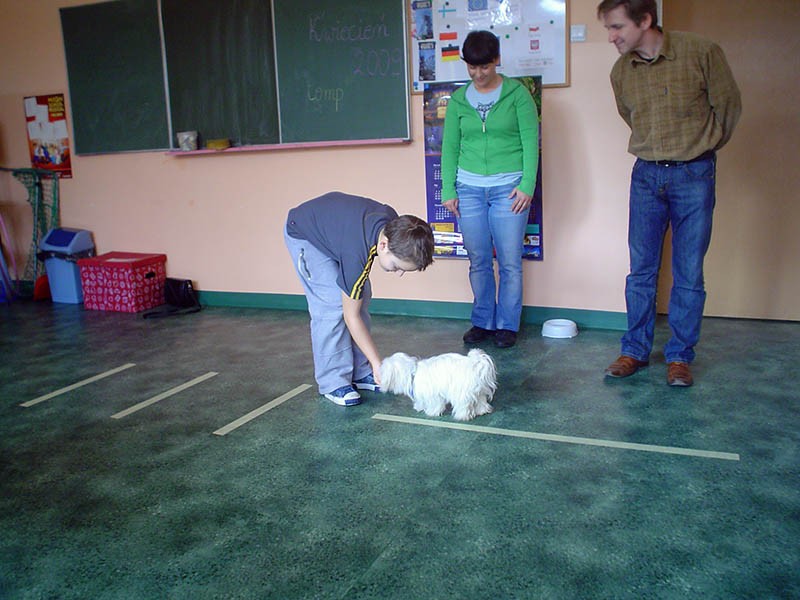 Zabrze 30.03 - 03.04 2009 r. WARSZTATY III, zdjęcie 20 z 71