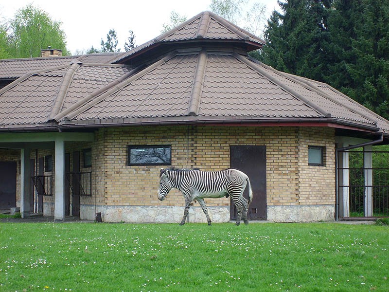 Wycieczka do ZOO, zdjęcie 1 z 127