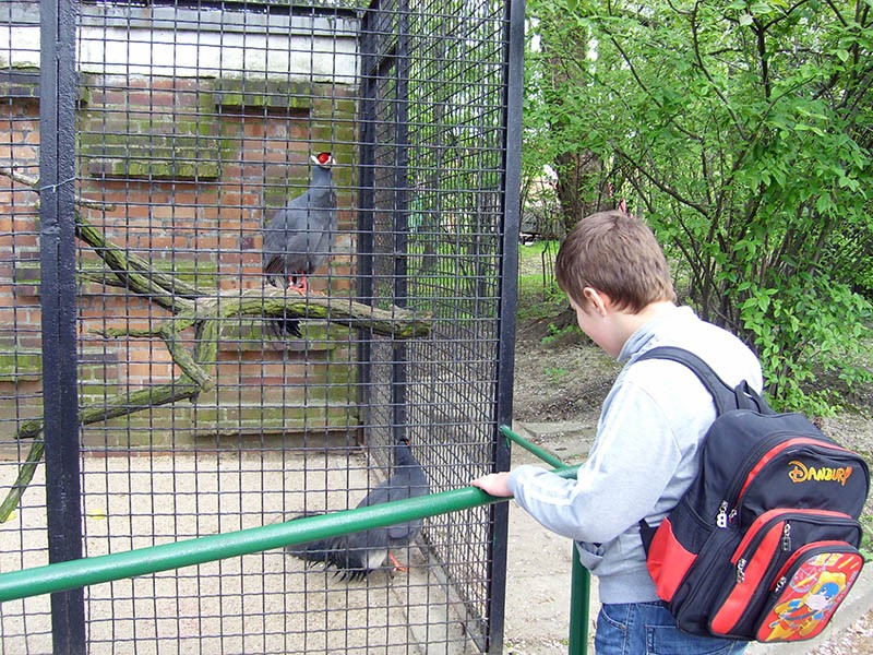 Wycieczka do ZOO, zdjęcie 2 z 127