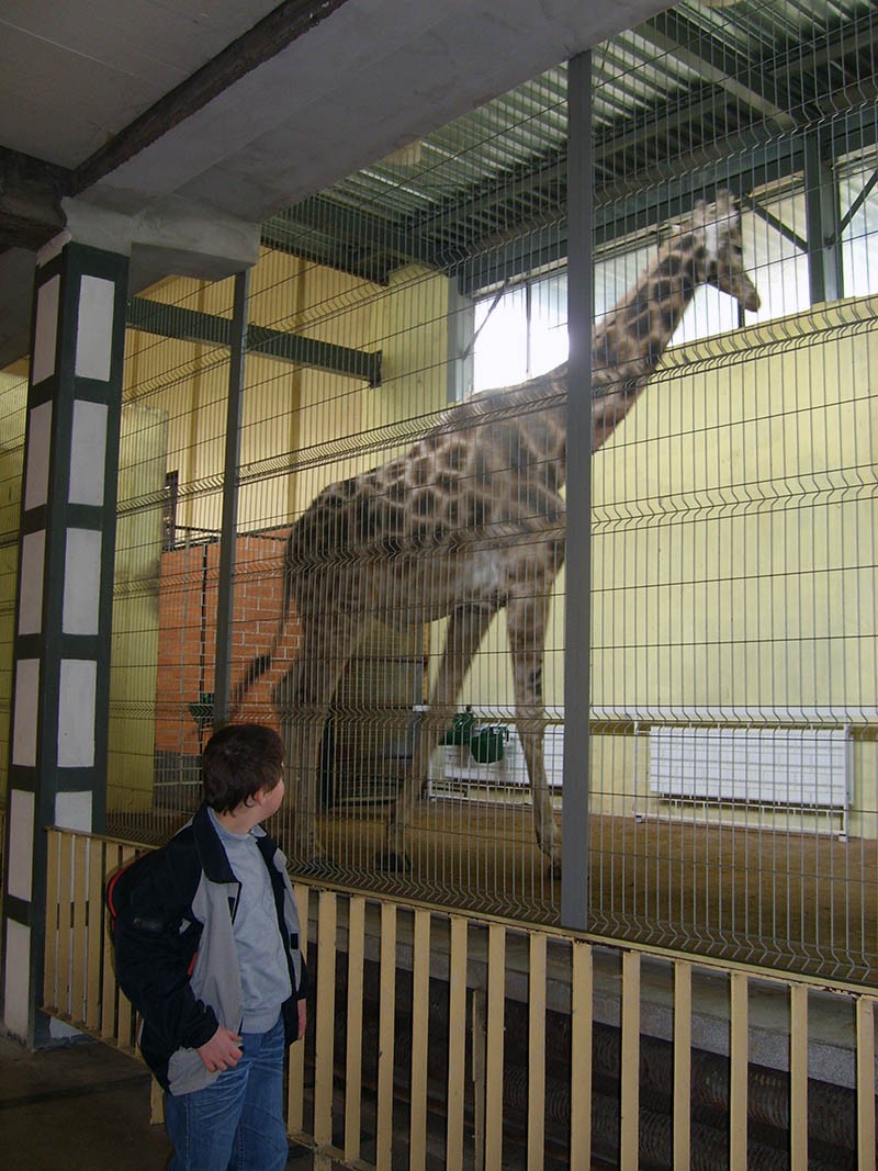 Wycieczka do ZOO, zdjęcie 3 z 127