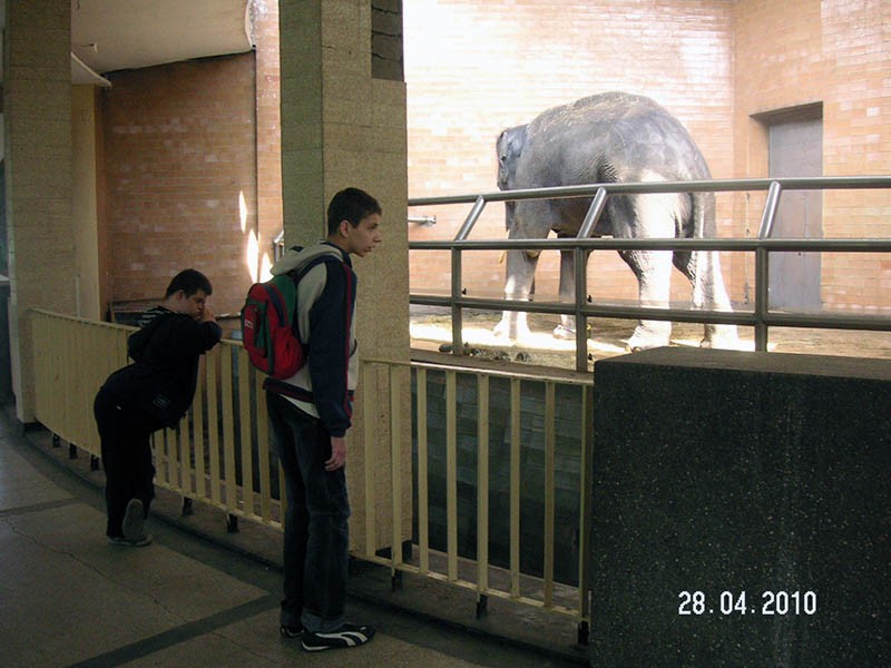 Wycieczka do ZOO, zdjęcie 4 z 127