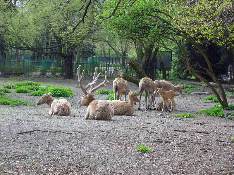 Wycieczka do ZOO, zdjęcie 7 z 127