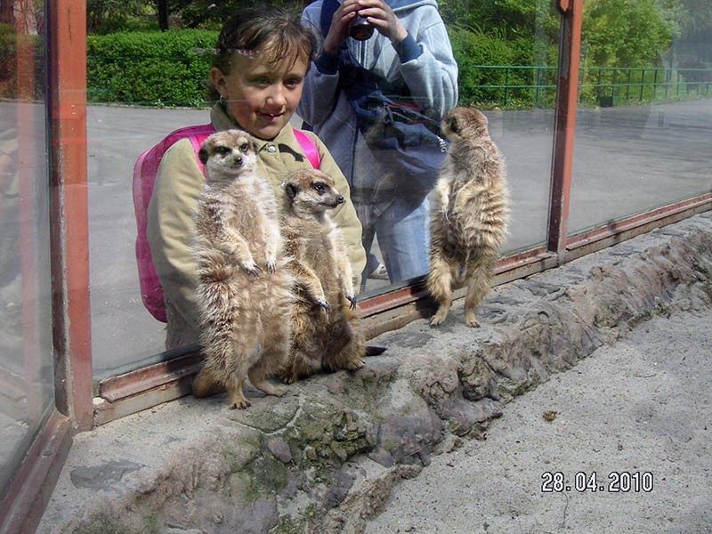 Wycieczka do ZOO, zdjęcie 9 z 127