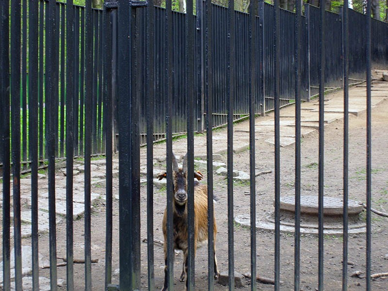 Wycieczka do ZOO, zdjęcie 10 z 127