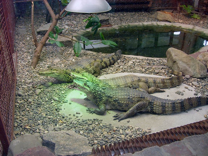 Wycieczka do ZOO, zdjęcie 100 z 127