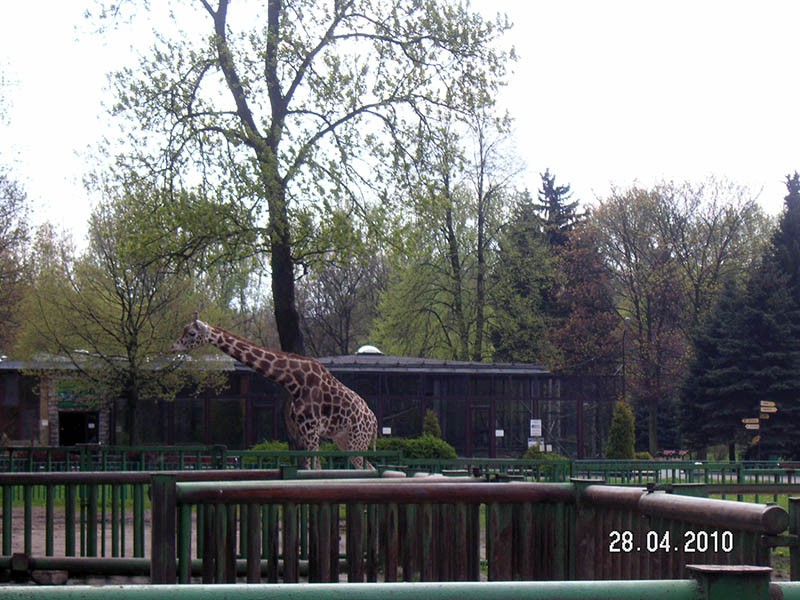 Wycieczka do ZOO, zdjęcie 101 z 127