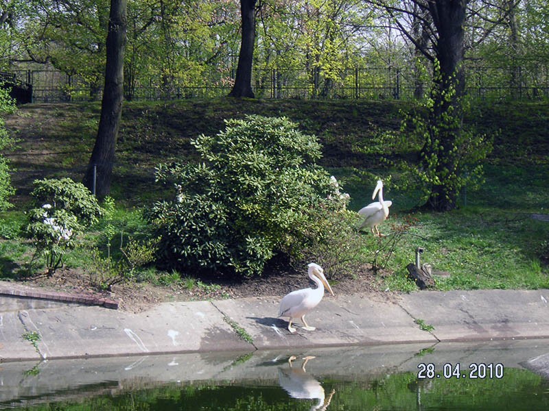 Wycieczka do ZOO, zdjęcie 104 z 127