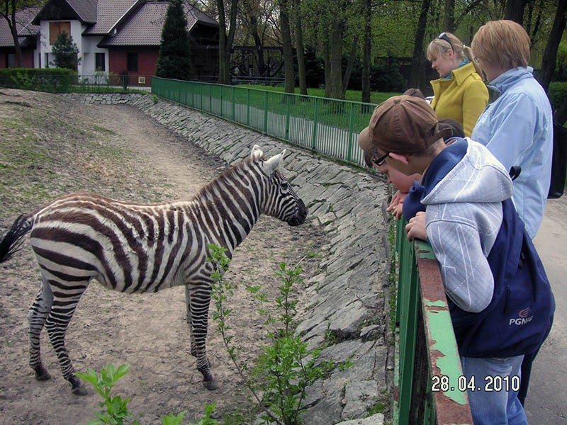 Wycieczka do ZOO, zdjęcie 108 z 127