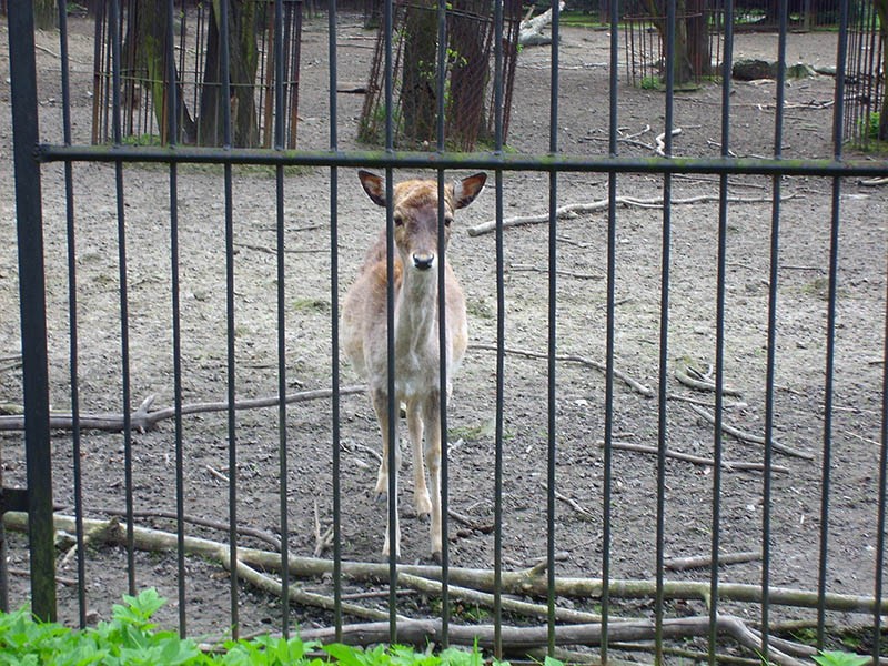 Wycieczka do ZOO, zdjęcie 111 z 127