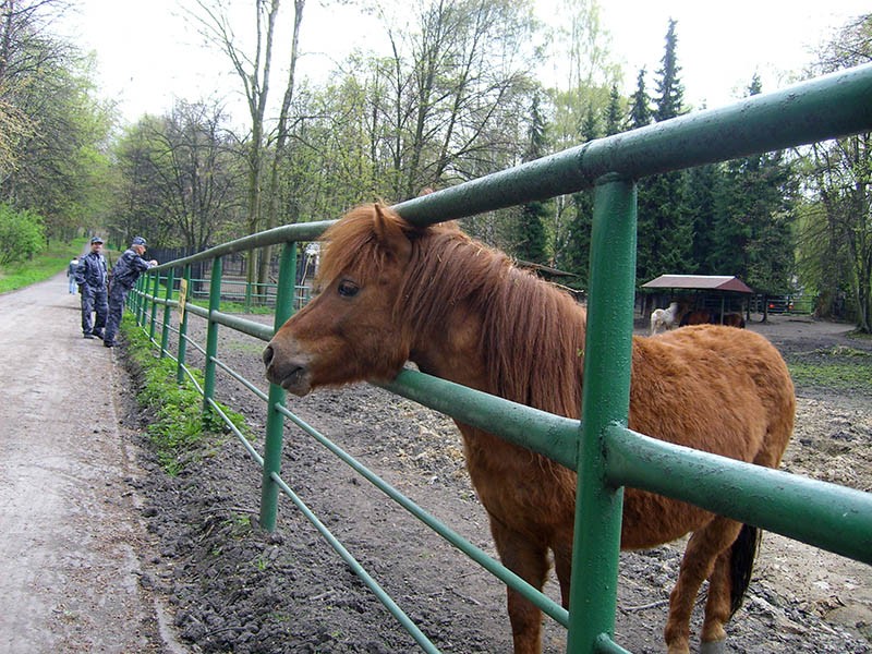 Wycieczka do ZOO, zdjęcie 112 z 127