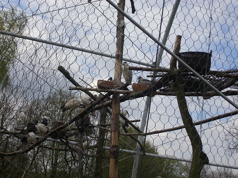 Wycieczka do ZOO, zdjęcie 113 z 127