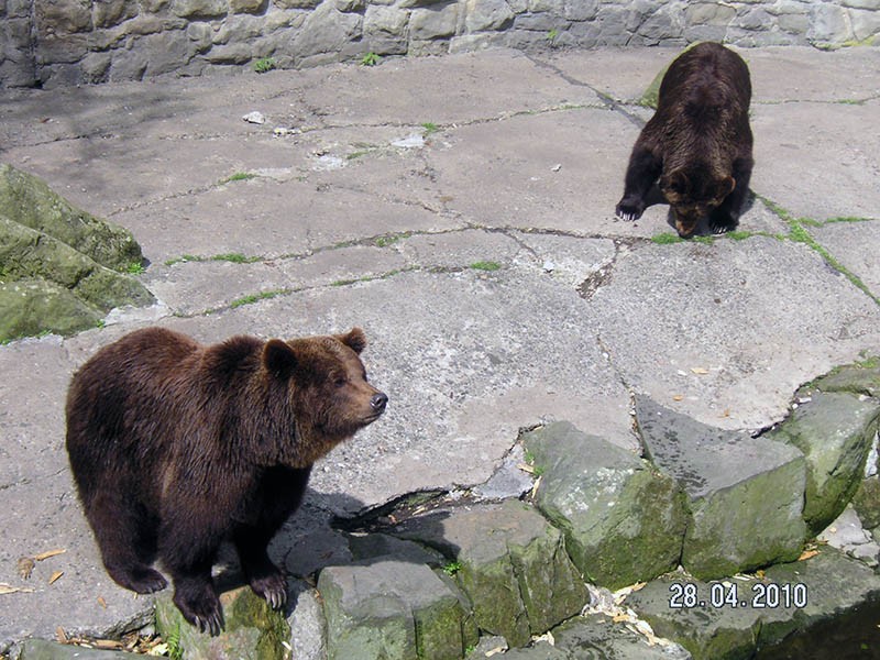 Wycieczka do ZOO, zdjęcie 114 z 127