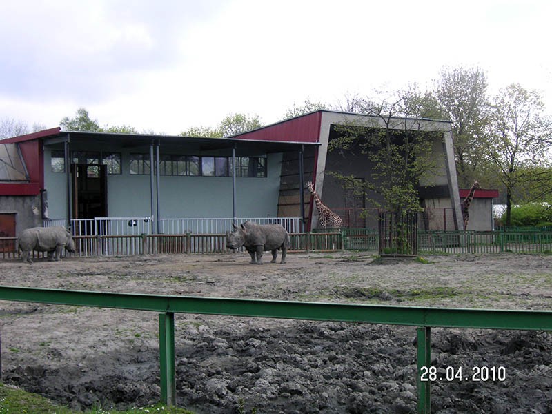 Wycieczka do ZOO, zdjęcie 115 z 127