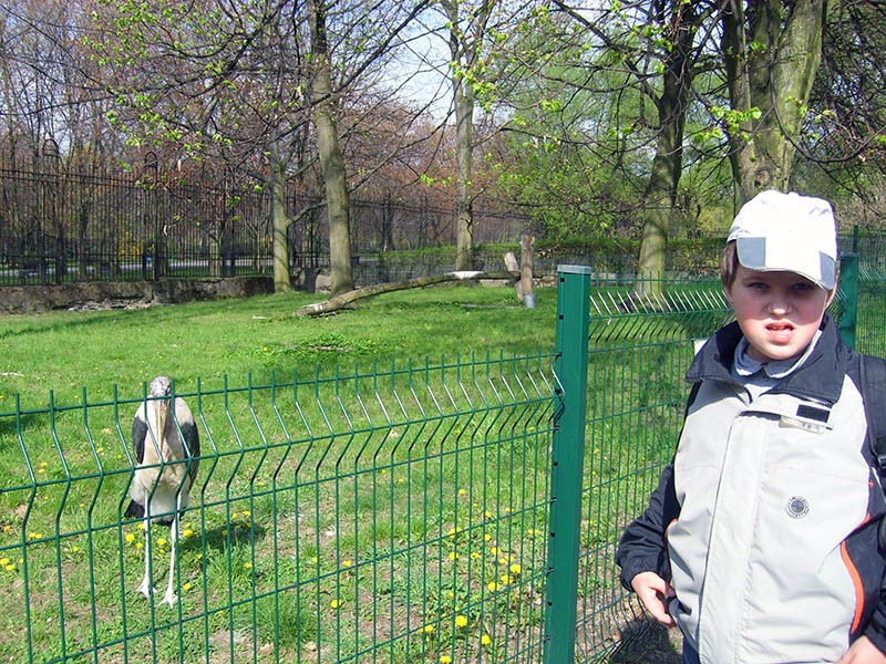 Wycieczka do ZOO, zdjęcie 116 z 127