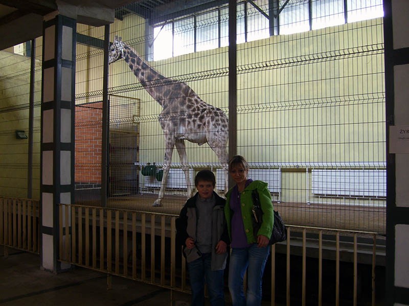 Wycieczka do ZOO, zdjęcie 117 z 127