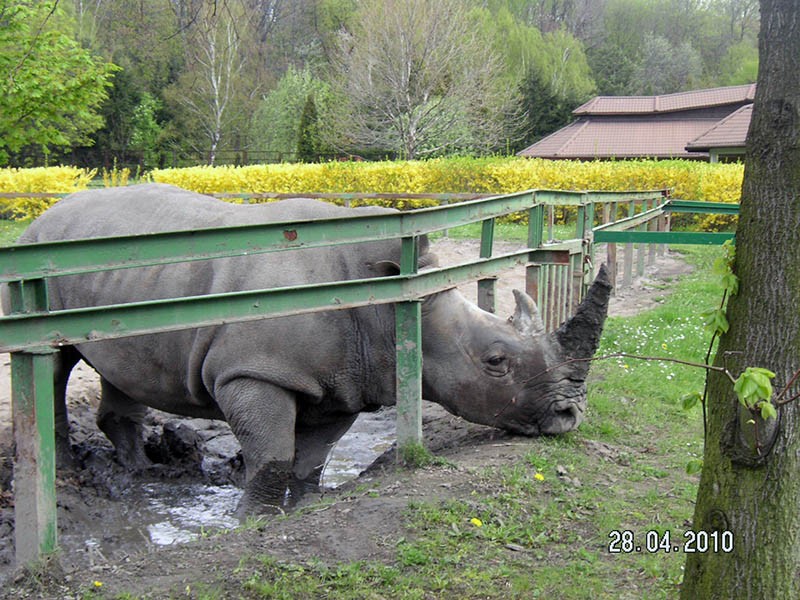 Wycieczka do ZOO, zdjęcie 122 z 127