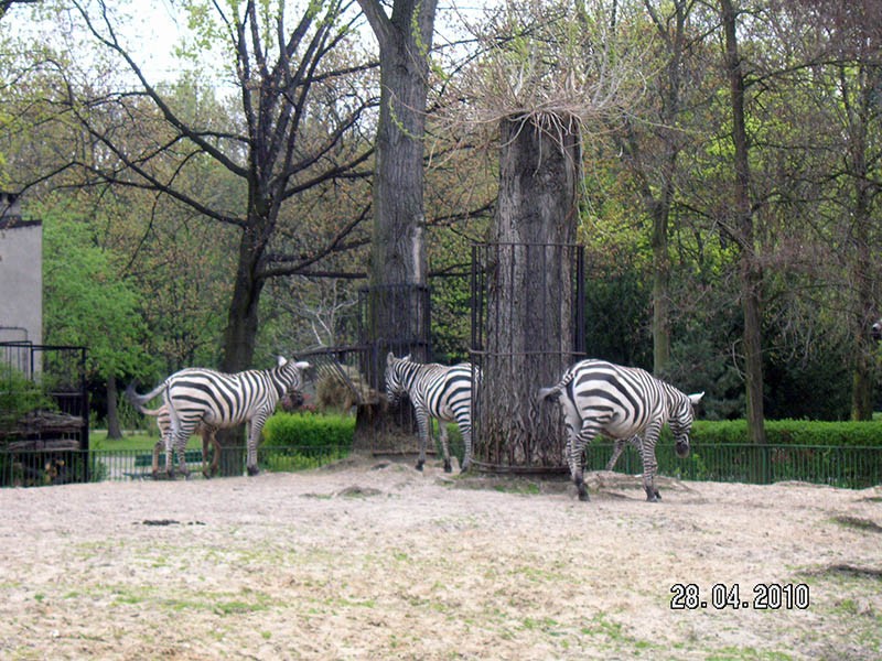 Wycieczka do ZOO, zdjęcie 123 z 127