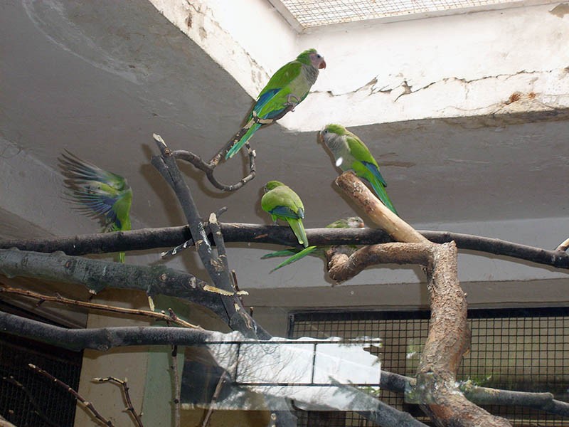 Wycieczka do ZOO, zdjęcie 125 z 127