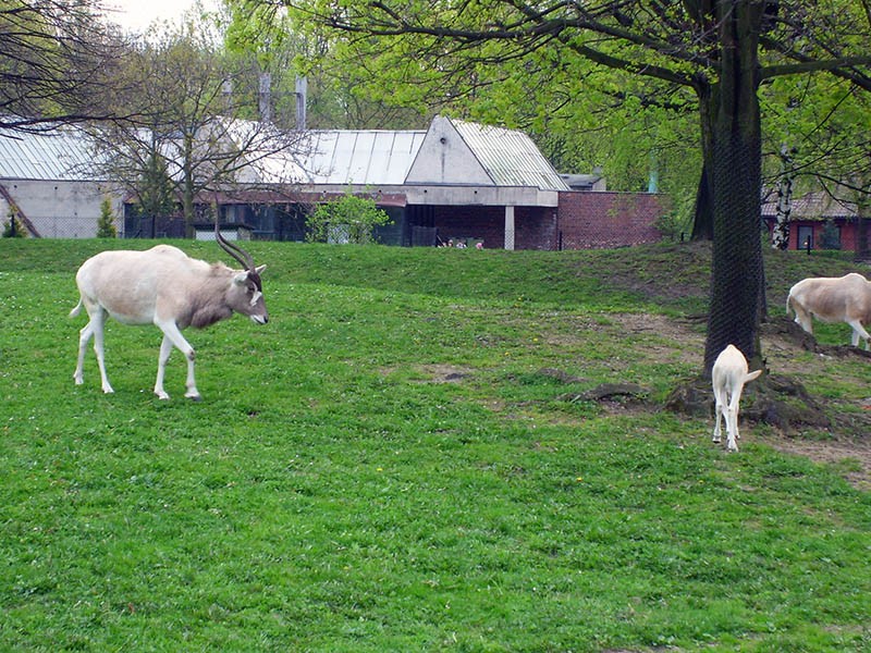 Wycieczka do ZOO, zdjęcie 127 z 127