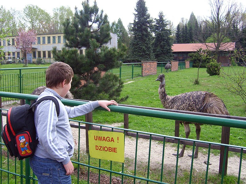 Wycieczka do ZOO, zdjęcie 17 z 127