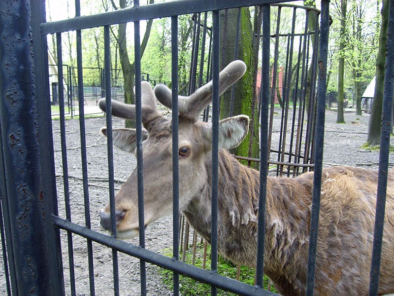 Wycieczka do ZOO, zdjęcie 19 z 127
