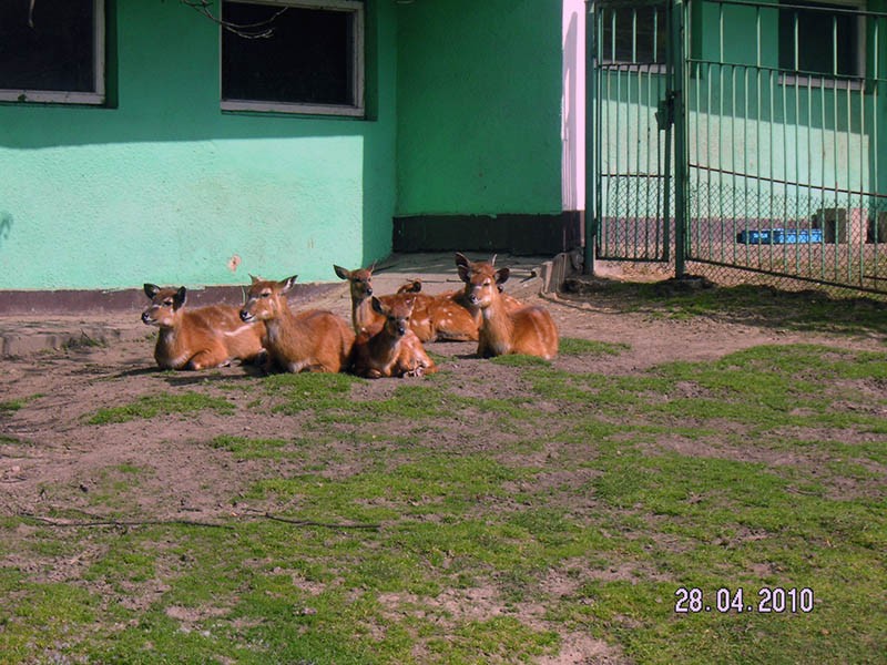 Wycieczka do ZOO, zdjęcie 20 z 127