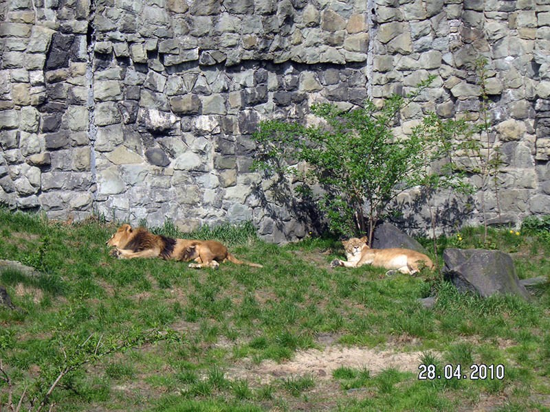 Wycieczka do ZOO, zdjęcie 24 z 127