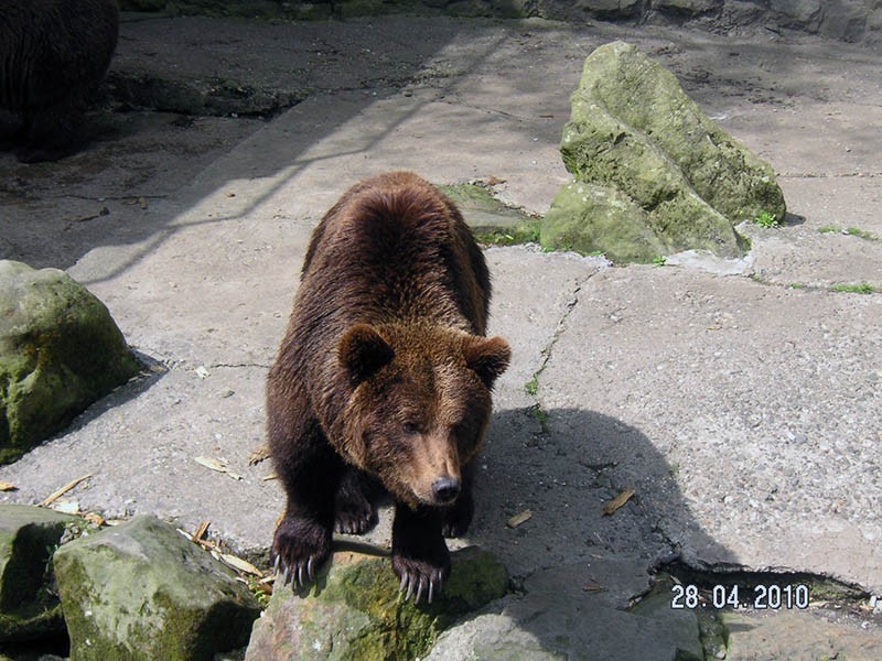 Wycieczka do ZOO, zdjęcie 25 z 127