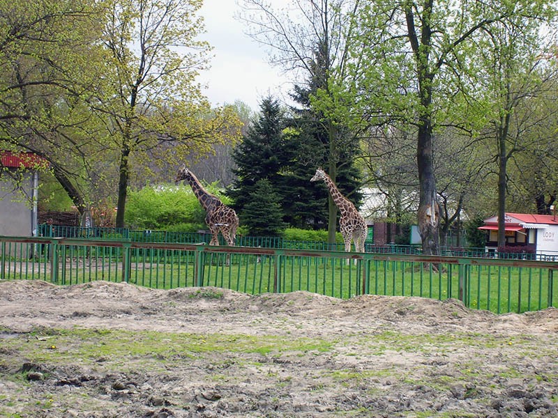 Wycieczka do ZOO, zdjęcie 26 z 127