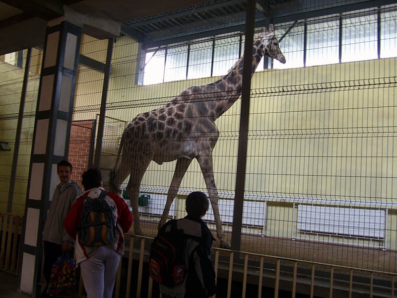 Wycieczka do ZOO, zdjęcie 30 z 127