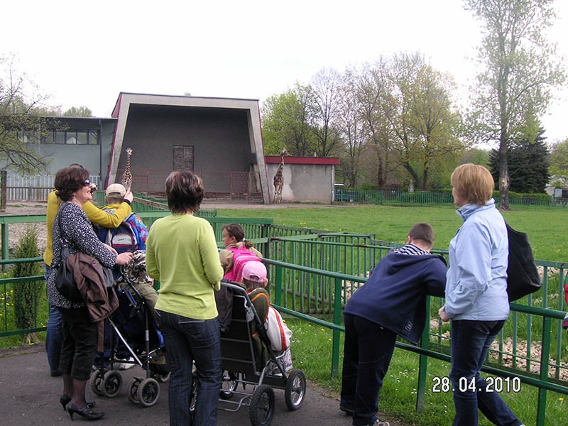 Wycieczka do ZOO, zdjęcie 33 z 127