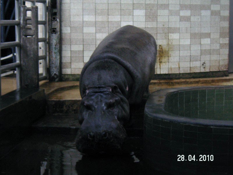 Wycieczka do ZOO, zdjęcie 34 z 127