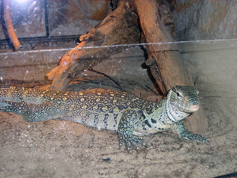 Wycieczka do ZOO, zdjęcie 35 z 127