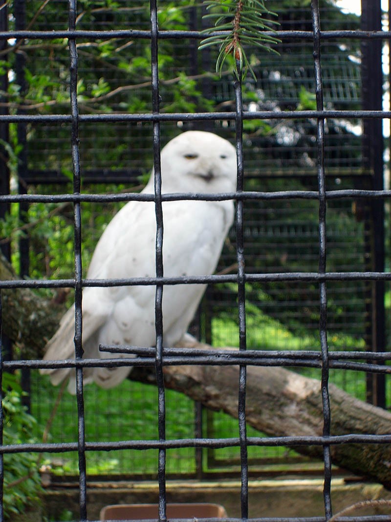 Wycieczka do ZOO, zdjęcie 36 z 127