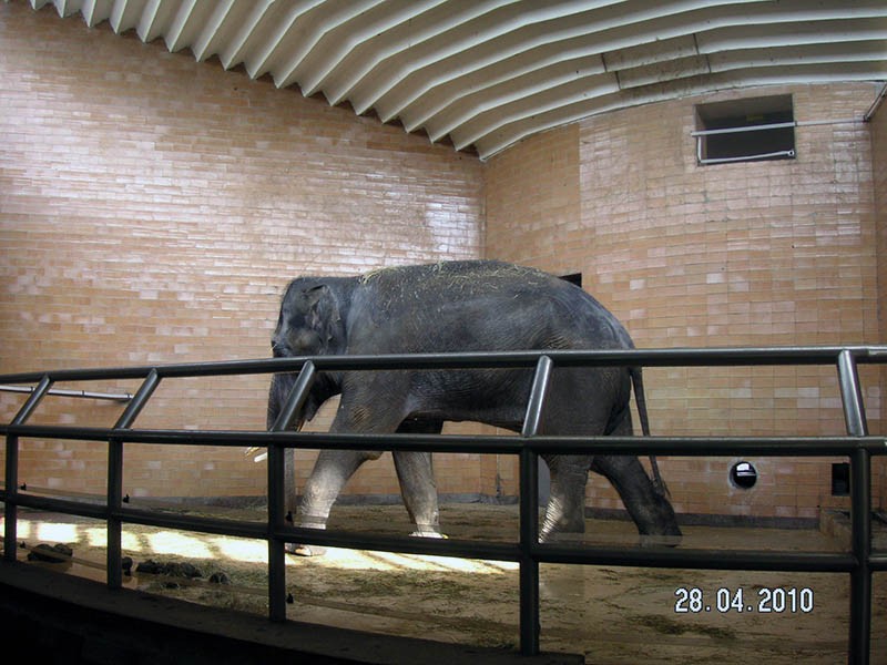 Wycieczka do ZOO, zdjęcie 37 z 127