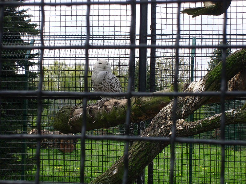 Wycieczka do ZOO, zdjęcie 38 z 127