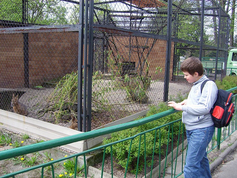Wycieczka do ZOO, zdjęcie 39 z 127