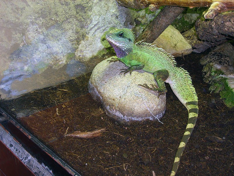 Wycieczka do ZOO, zdjęcie 40 z 127