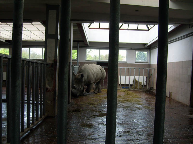 Wycieczka do ZOO, zdjęcie 41 z 127