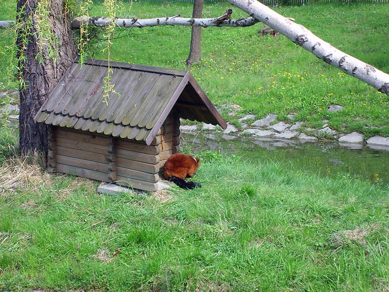 Wycieczka do ZOO, zdjęcie 43 z 127
