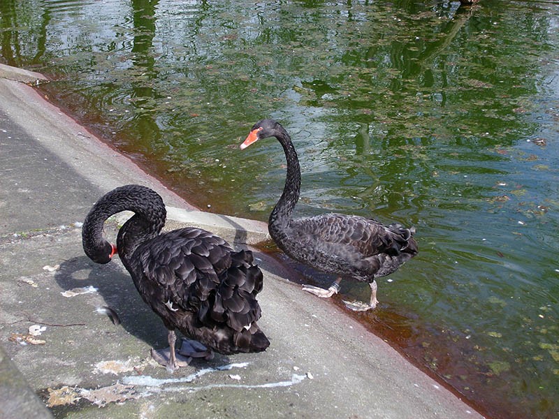 Wycieczka do ZOO, zdjęcie 52 z 127