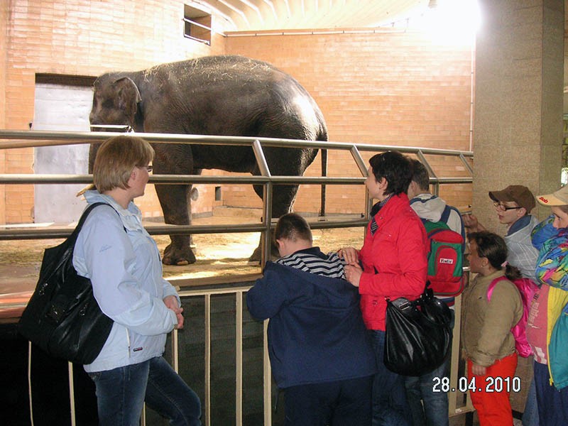 Wycieczka do ZOO, zdjęcie 53 z 127