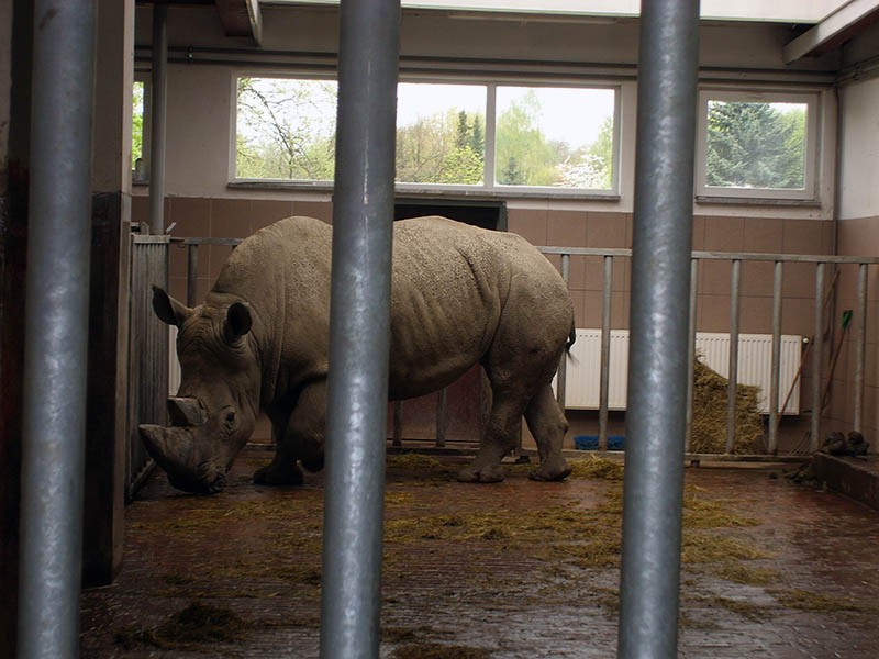 Wycieczka do ZOO, zdjęcie 54 z 127