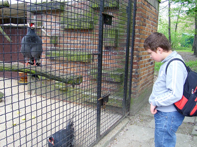 Wycieczka do ZOO, zdjęcie 57 z 127